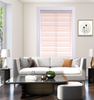 G33-2 Zebra shade fabrics china factory